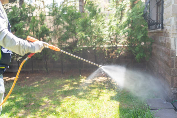 Best Pest Exclusion Services  in Bellmawr, NJ